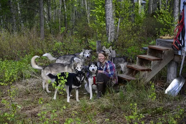 Intimate Visit of an Alaskan Off-Grid Homestead with Sled Dogs - Talkeetna - Primary Image