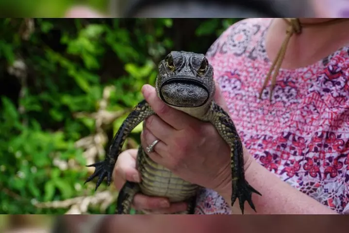 3-Day Florida: Miami Bus & Boat, Everglades & Key West Snorkeling