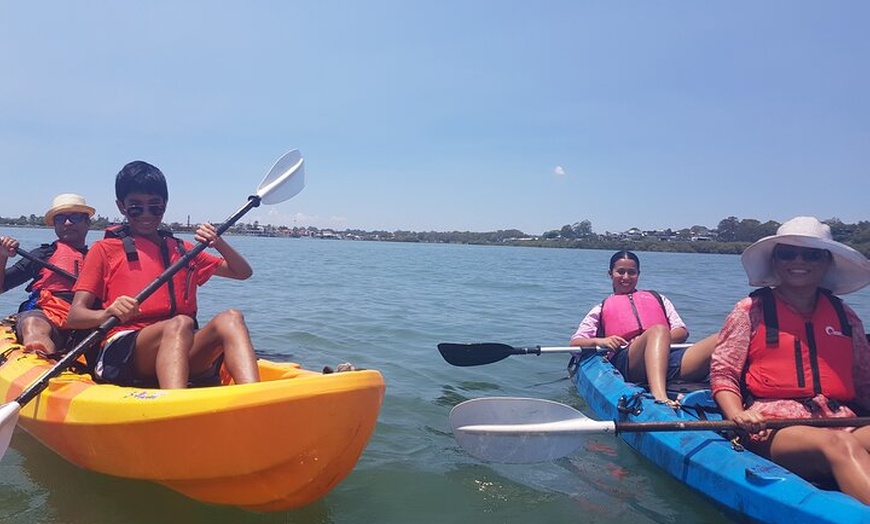 Image 7: Raby Bay Wildlife Kayak Tour