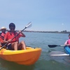 Image 7: Raby Bay Wildlife Kayak Tour