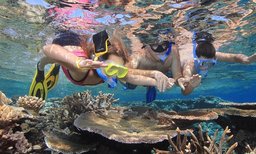 Image 12: Calypso Outer Great Barrier Reef Cruise from Port Douglas