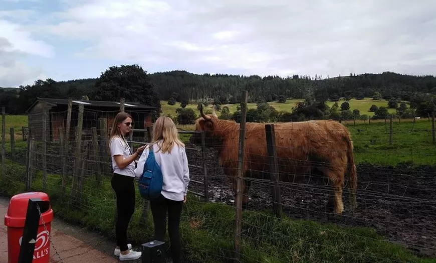 Image 3: Stirling Castle, Hairy Coo's & The Trossachs