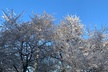 4- Hour Private customizable Washington DC Tour - Second Medium