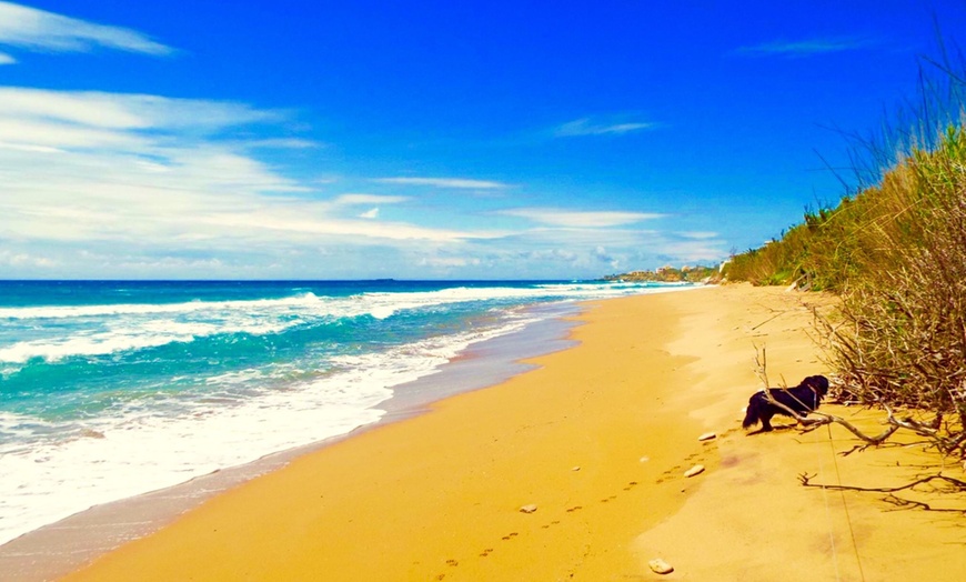 Image 11: ✈ CORFU | Agios Georgios Argirades - Bruskos Hotel &Suites 3*, 3 ni...