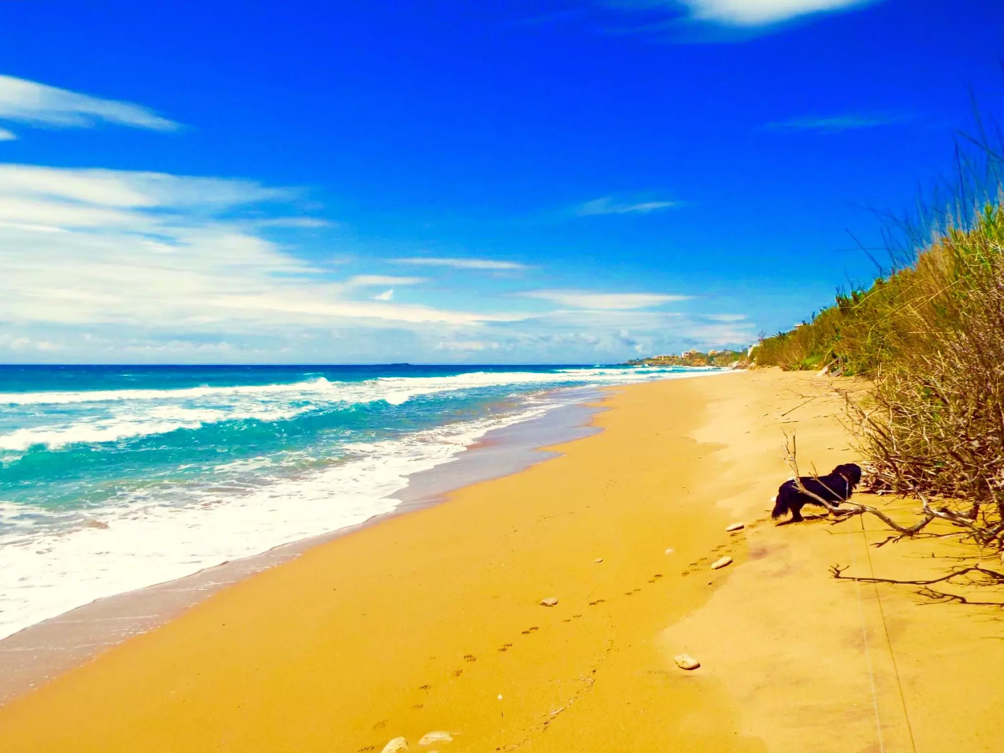 ✈ CORFU | Agios Georgios Argirades - CCB Bruskos 3*, 4 nachten - Bu...