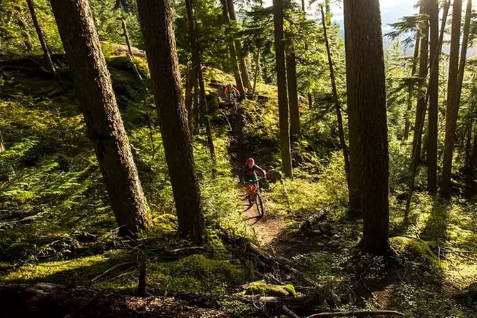 Whistler Singletrack Mountain Bike Tour - Primary Image