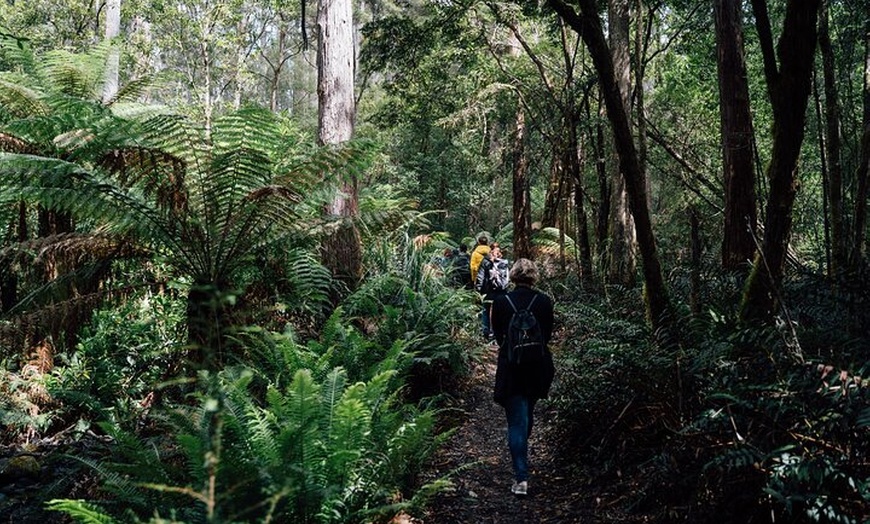 Image 30: 6 Day Island Icons Tassie Day Tour Bundle
