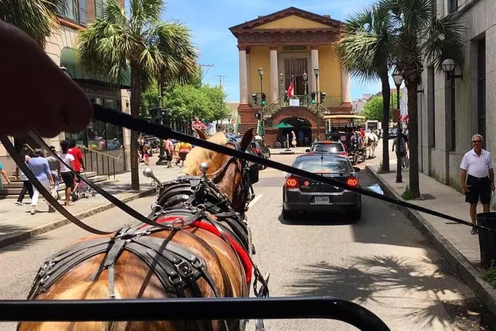 Charleston's Old South Carriage Historic Horse & Carriage Tour