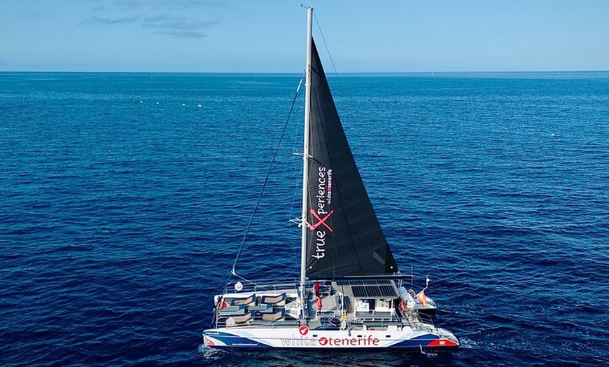 Image 2: Tour Eco-Catalán con degustación de comida