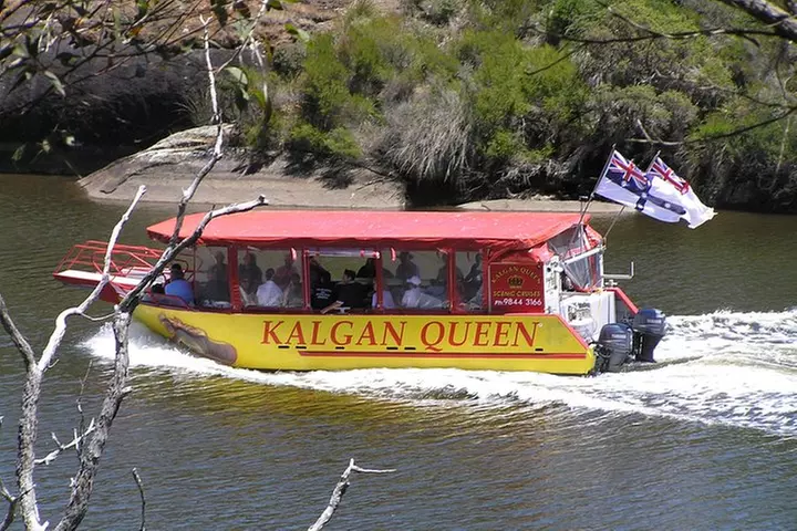 Kalgan Queen Scenic Cruises a four hour sheltered water wildlife tour daily fun. - Primary Image