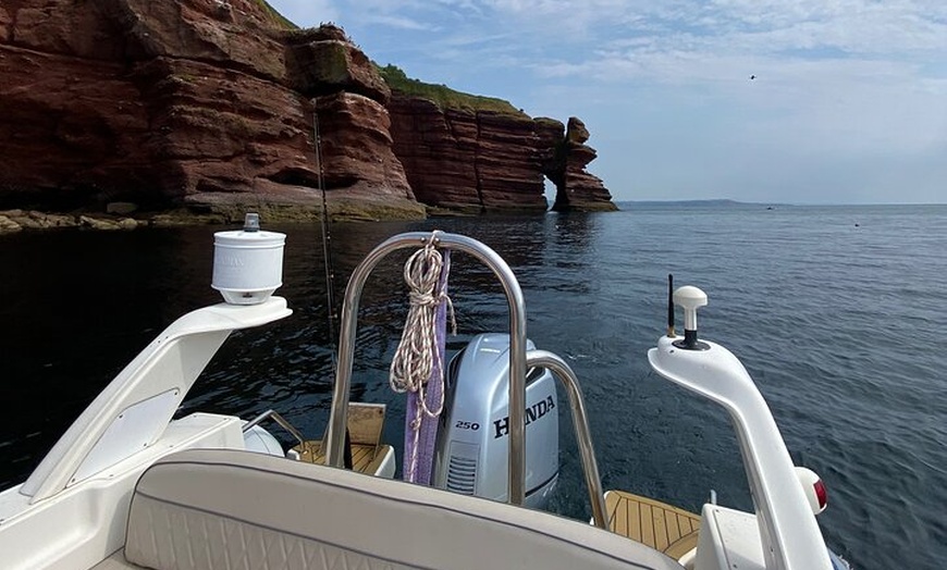 Image 28: Luxury Costal Rib Tour to Babbacombe Bay from Exmouth Marina