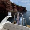Image 28: Luxury Costal Rib Tour to Babbacombe Bay from Exmouth Marina