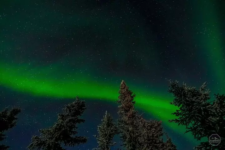 SkyChase™ Northern Lights Experience