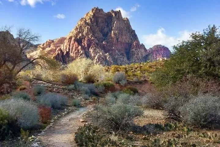 California desert, Red Rock Views and Seven Magic Mts