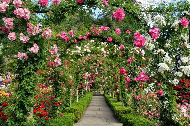 Private Butchart Gardens + Gardens at HCP Tour - Primary Image