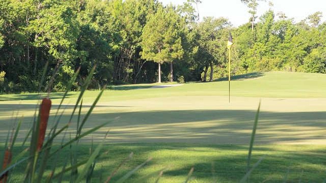 Online Booking - Round of Golf at The Bridges Golf Club at Hollywoo...