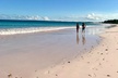Pink Sand Beach and Swimming Pigs Adventure from Nassau - Second Medium