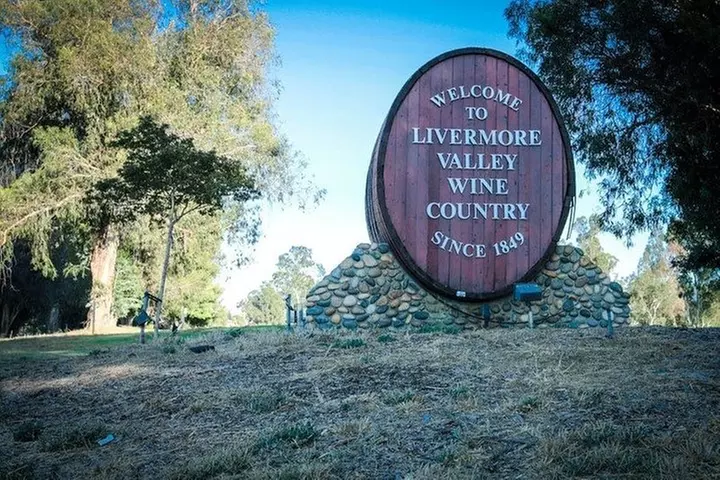 6-Hour Customized Private LIVERMORE Valley Wine Tour From San Francisco Bay Area - Primary Image