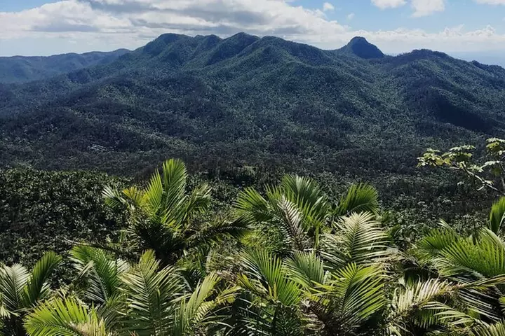 El Yunque Rainforest, Waterslides, and Beach Tour with Transport - Primary Image