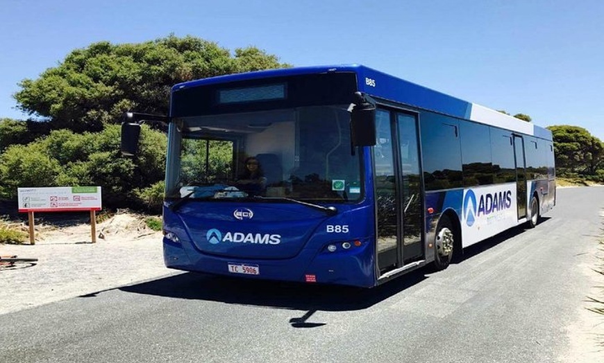 Image 8: Rottnest Island Bayseeker Day Trip from Perth