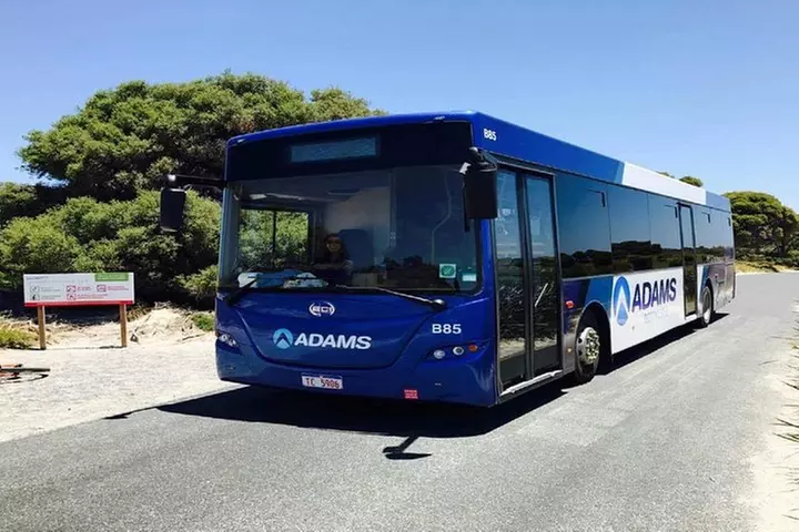 Rottnest Island Bayseeker Day Trip from Perth - Image 7