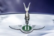Rolls-Royce & Bentley Chauffeured All-inclusive Wine Tasting Tour - Second Medium