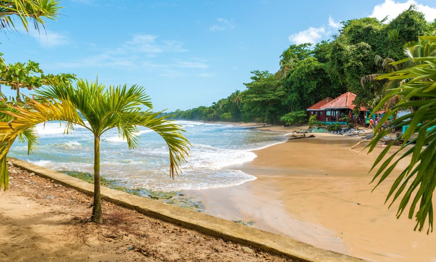 Image 27: ✈ COSTA RICA | De San José à Manuel Antonio - Entre Jungle, Plage E...