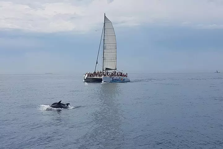 Tour en Catamarán Fiesta en Barcelona para Jóvenes