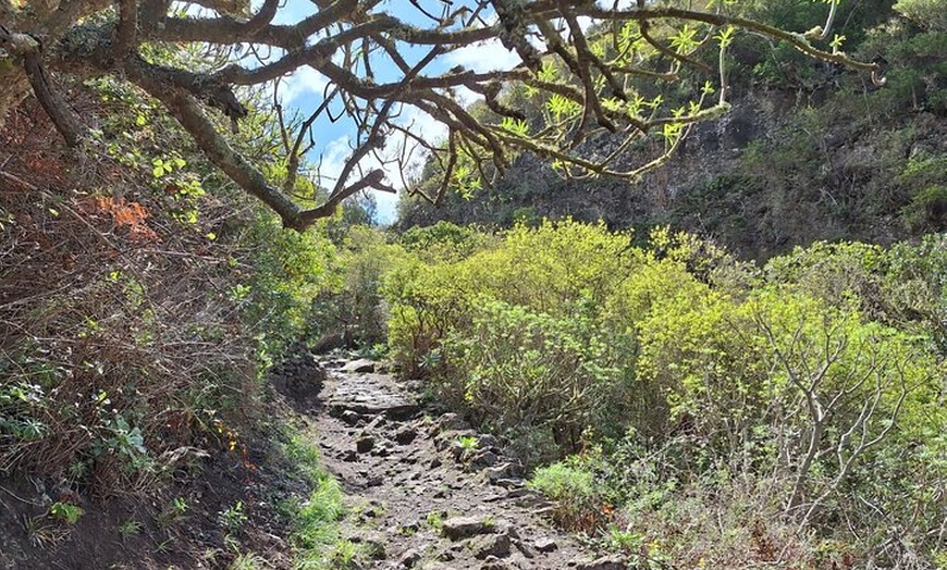 Image 7: Senderismo en el cañón de Cuevas Negras en Tenerife