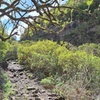 Image 7: Senderismo en el cañón de Cuevas Negras en Tenerife