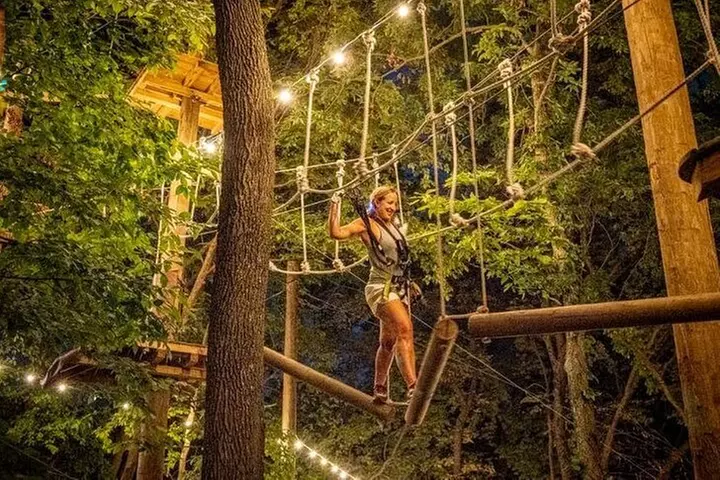 Glow in the Park TreeTrails - Primary Image