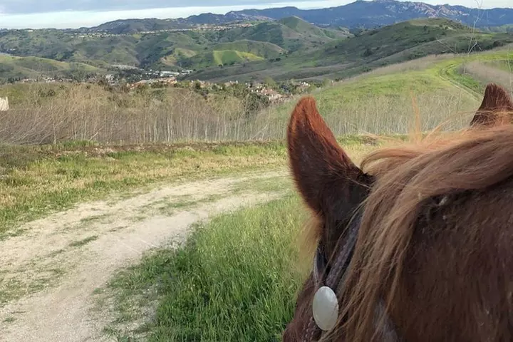 2 Hour Wildflower Horseback Trail Ride experience in Agoura Hills