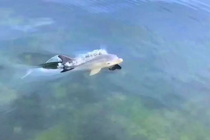 Miami Private Yacht Rental with Captain