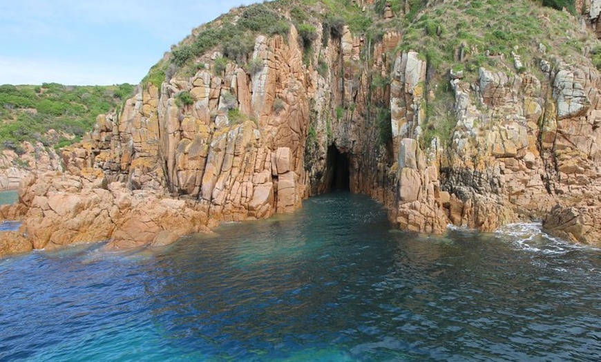 Image 7: Cape Woolamai Sightseeing Cruise from San Remo