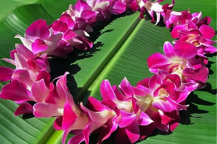 Shared Departure Transfer: Hotels to Kona International Airport - Primary Image