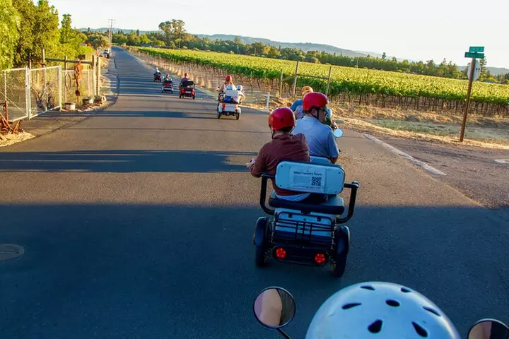 Sonoma Wine Country Electric Trike Tour - 3 hours