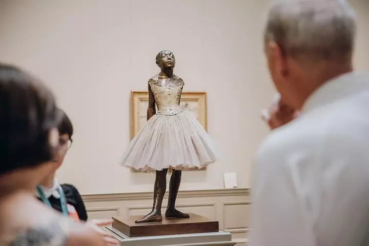 3 hour Metropolitan Museum Guided Tour