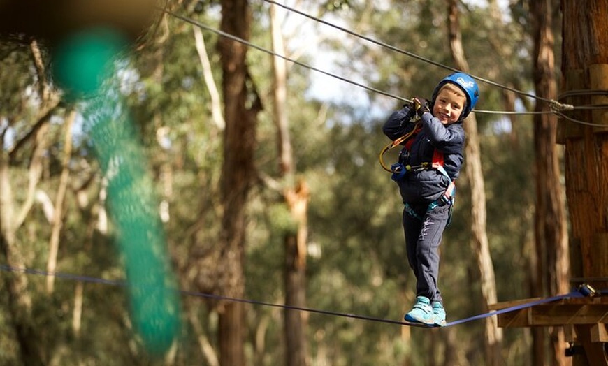 Image 4: Lane Poole Park Dwellingup - Junior Tree Ropes & Ziplining