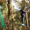 Image 4: Lane Poole Park Dwellingup - Junior Tree Ropes & Ziplining
