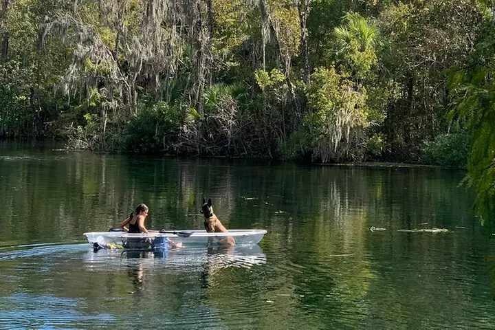 Clear Canoeing and Wildlife Sightseeing at Silver Springs