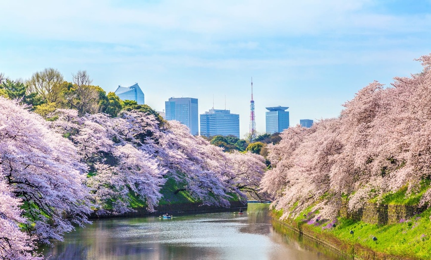 Image 9: ✈ JAPAN | From Tokyo to Osaka - Japan's must-sees 3* - Tour