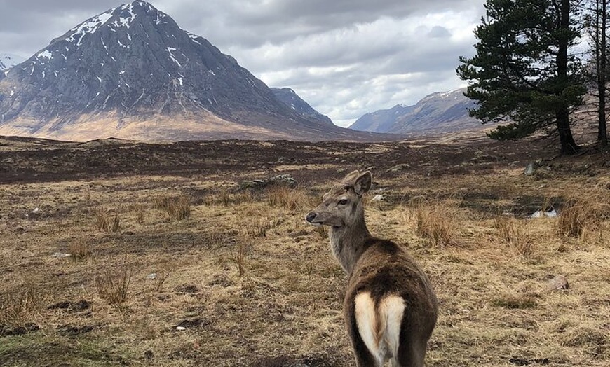 Image 14: Edinburgh: Loch Ness, Glencoe & The Highlands Day Trip