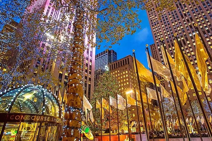 NYC Central Park and Rockefeller Center Private Tour
