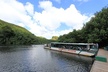 Kauai Cruise Ship Excursion: Wailua River & Fern Grotto - Second Medium