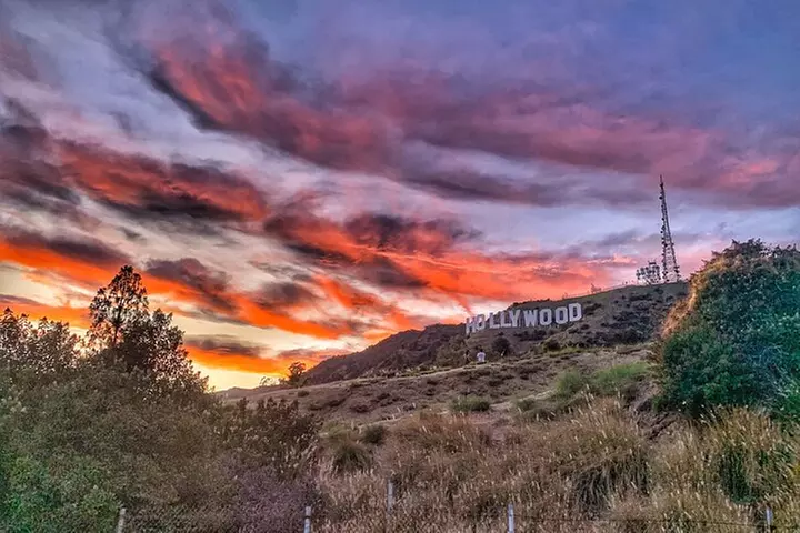 #1 Hollywood Sign Express Tour with Comedians and Their Dogs