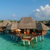 Image 11: ✈ MALDIVES | Dhunikolhu - Coco Palm Dhuni Kolhu 5* - All inclusive