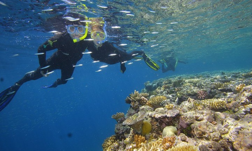 Image 8: Calypso Outer Great Barrier Reef Cruise from Port Douglas