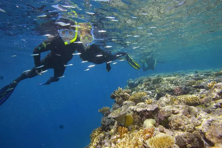 Calypso Outer Great Barrier Reef Cruise from Port Douglas