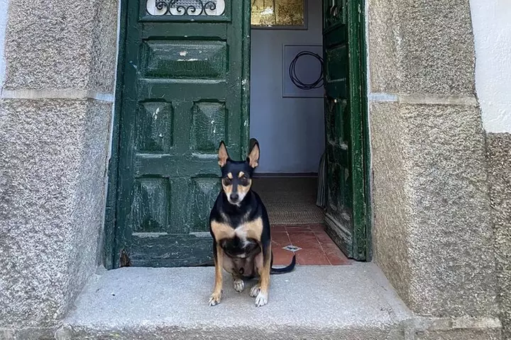 Talla de piedra en Cercedilla/Madrid