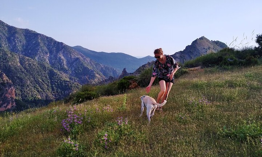 Image 16: NUEVO:Sunset Hike & Summit Sierra Nevada - Tour privado con cachorro